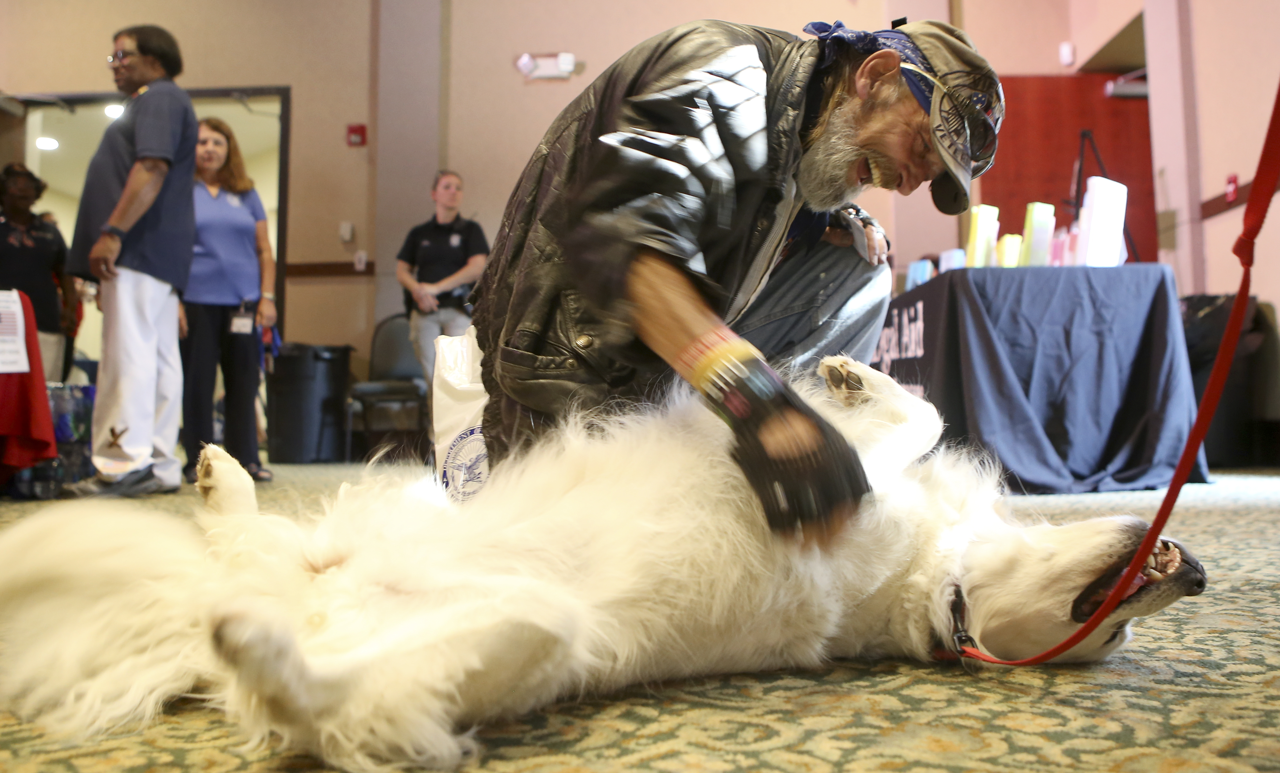 Army veteran James E. Dillon III pets Tessa, a 6-year-old golden retriever therapy dog, during the "Joint Operation" event at the Museum Center at 5ive Points on Wednesday, Sept. 20, in Cleveland, Tenn. The free event was open to all Tennessee veterans and their families and featured more than 45 agencies and organizations with information on a number of resources, including VA claim assistance, vocational rehabilitation, education, employment, mental health, housing, legal assistance and more.