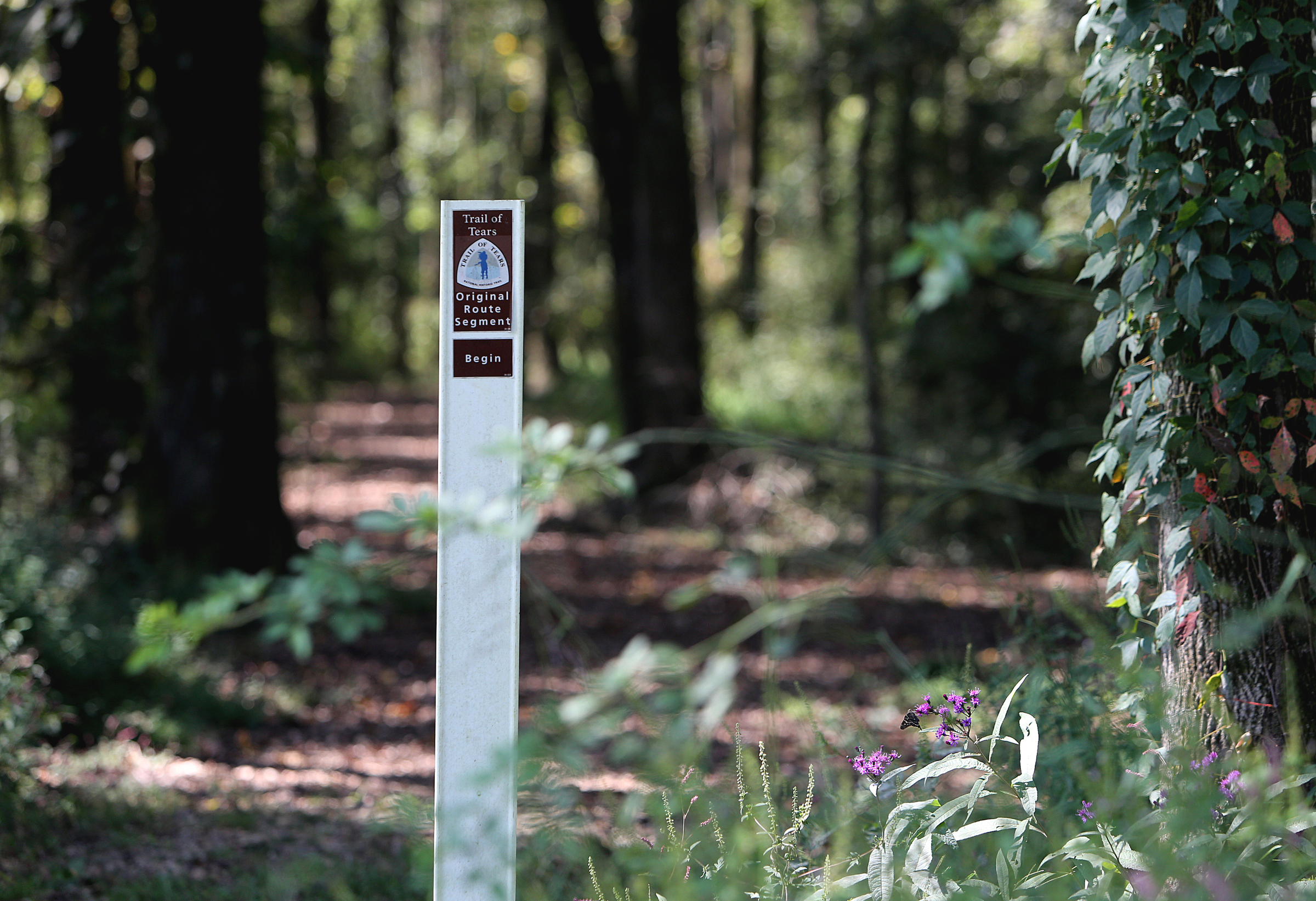 Markers point out segments of the Trail of Tears route Tuesday, Sept. 26, 2017, at Browns Ferry Federal Road Trail in Chattanooga, Tenn. A general management plan thatճ been in the works for decades to overhaul the Moccasin Bend National Archeological District received final approval earlier this month.