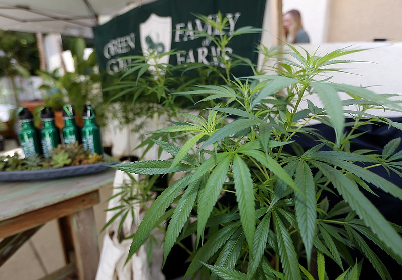 
              Marijuana plants are displayed at the Green Goat Family Farms stand at "The State of Cannabis," a California industry group meeting in Long Beach, Calif., on Thursday, Sept. 28, 2017. California's emerging marijuana industry is being rattled by an array of unknowns, as the state races to issue its first licenses to grow and sell legal recreational pot on Jan. 1. Proposition 64, which legalized recreational pot use for adults, takes effect next year. (AP Photo/Damian Dovarganes)
            