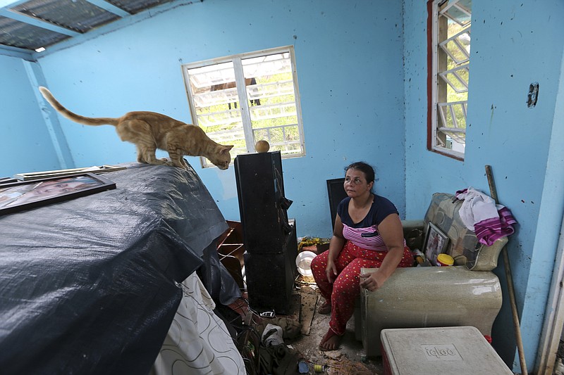 
              In this Tuesday, Sept. 26, 2017 photo, Maribel Valentin Espino sits in her hurricane-destroyed home in Montebello, Puerto Rico. Espino and her husband say they have not seen anyone from the Puerto Rican government, much less the Federal Emergency Management Agency, since the storm tore up the island. (AP Photo/Gerald Herbert)
            