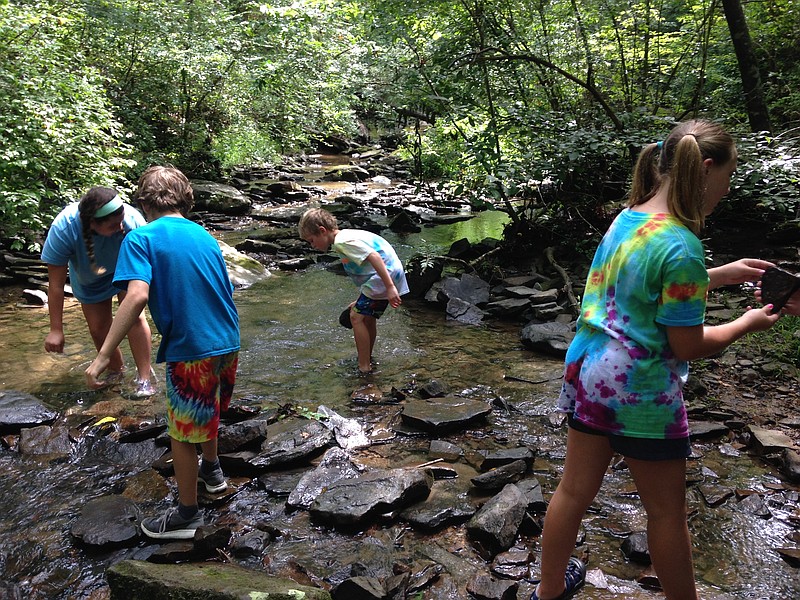 Participants in TenneSEA Kids 4 Clean Water's Fall Break Adventure Camp will learn about the importance of water quality to the environment by exploring watersheds throughout the Chattanooga area. (Contributed photo)