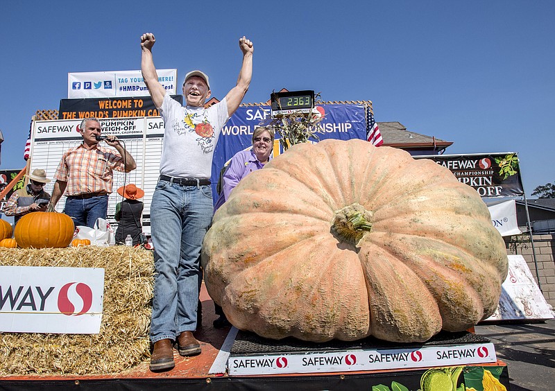 
              Joel Holland throws his arms into the air after winning the 44th World Championship Pumpkin Weigh-Off in Half Moon Bay, Calif., on Monday, Oct. 9, 2017.  Holland's pumpkin weighed in at 2363 pounds.   (Mark Rightmire/The Orange County Register via AP)
            