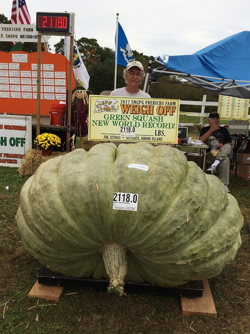 
              In this Oct. 7, 2017, photo provided by Susan Jutras, Joe Jutras stands with his world record breaking, 2,118-pound squash, following a weigh-in at Frerichs Farm in Warren, R.I. Jutras has become the first grower in the world to achieve a trifecta in the three most competitive categories in the hobby of growing gargantuan foods, having broken world records for largest pumpkin, longest gourd and now, heaviest squash. (Susan Jutras via AP)
            