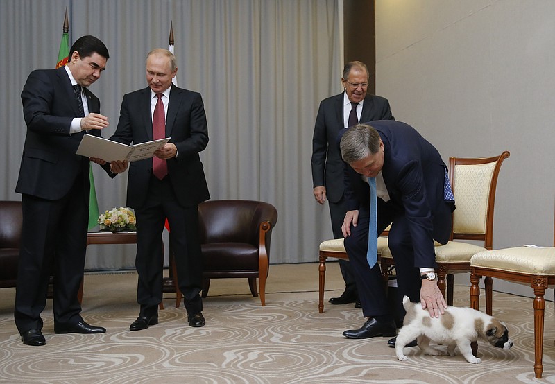 
              Turkmenistan's President Gurbanguly Berdymukhamedov, left, shows documents of presented by his puppy to Russian President Vladimir Putin, second right, as Foreign Minister Sergey Lavrov, second right, Presidential foreign affairs adviser Yuri Ushakov, right, play with the puppy during their meeting in the Bocharov Ruchei residence in the Black Sea resort of Sochi, Russia, Wednesday, Oct. 11, 2017. The presidents met at the sidelines of a summit of leaders of ex-Soviet nations in Sochi. (Maxim Shemetov, Pool Photo via AP)
            