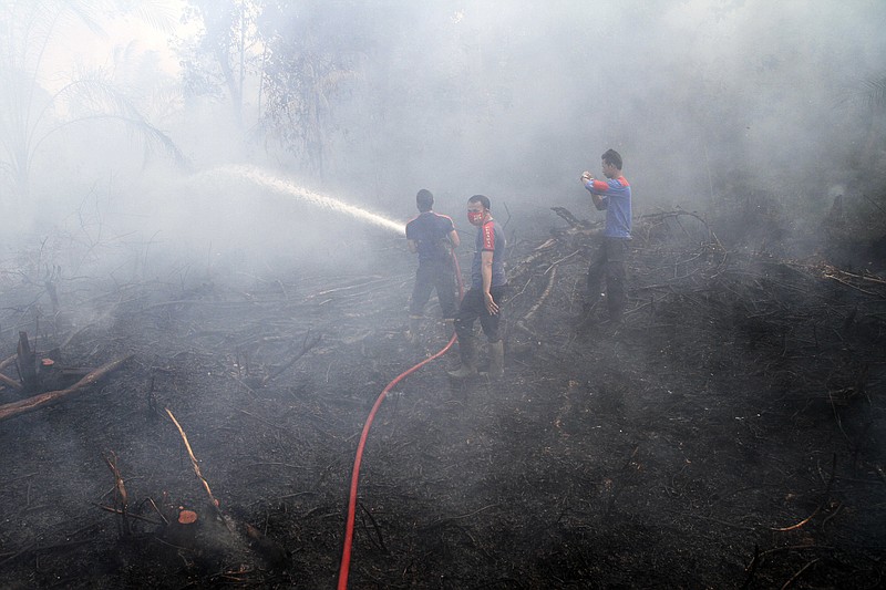 
              FILE - In this Sept. 16, 2014, file photo, firemen spray water in an attempt to extinguish bush fires on a peat land in Siak Riau province, Indonesia. A new NASA satellite finds another thing to blame on El Nino: A recent record high increase of carbon dioxide in the air. The satellite details how the super-sized El Nino a couple years ago added 2.5 billion tons of carbon into the air, making the natural phenomenon the main factor in the biggest jump in heat-trapping gas levels in modern record, NASA scientists said.  (AP Photo/Rony Muharrman, File)
            