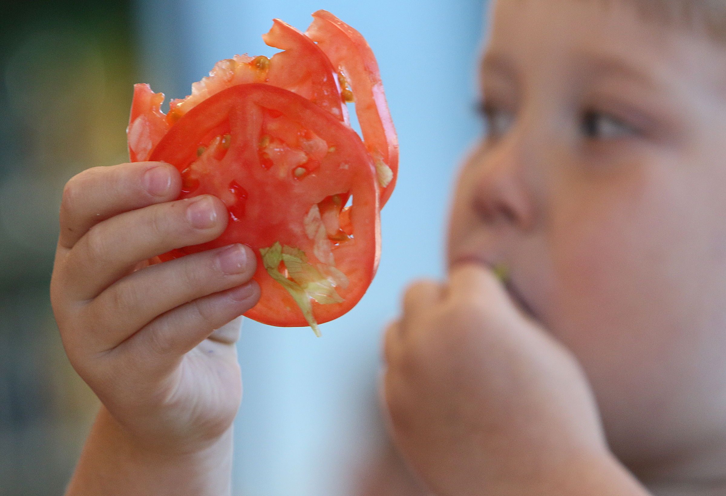 Owen Culberson, 4, of Ooltewah, Tenn., takes a bite of tomatoes during a Dynamic Dietetics class Monday, Oct. 16, 2017, at Subway in Cleveland, Tenn. Area registered dietitians are hosting five Share the Color workshops at various local Subway restaurants.