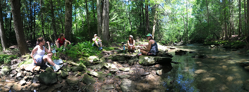 The women pause from a hike on the Cumberland Trail for a lunch break.