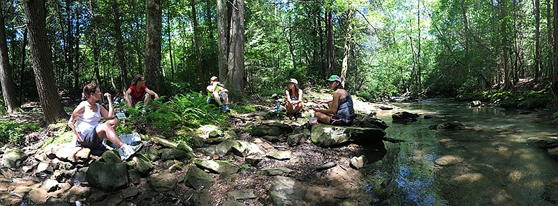The women pause from a hike on the Cumberland Trail for a lunch break. 