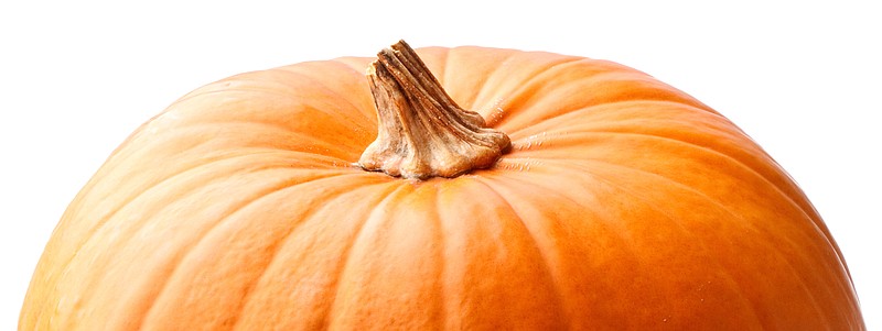 pumpkin isolated on white