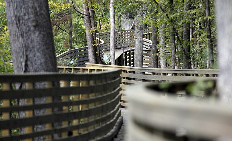 A section of boardwalk winds through the trees along the South Chickamauga Creek. 