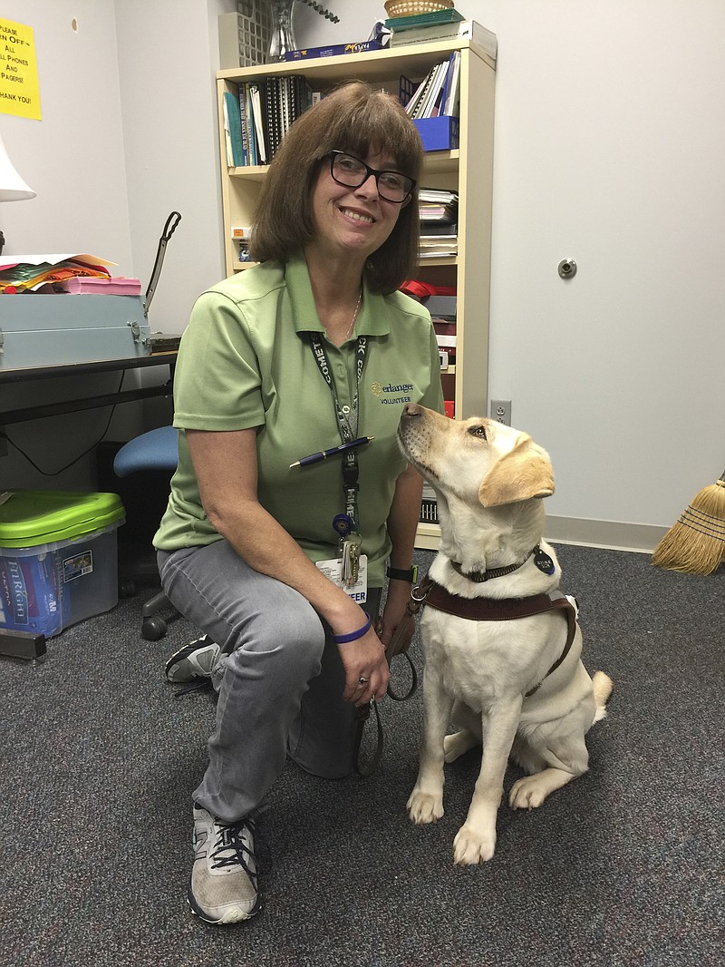 Ann Roberts, 48, and her seeing-eye dog Rosalie, volunteer two days a week at Erlanger Hospital.
