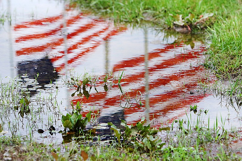 Flags that line Robin Road in Ringgold, Ga., are reflected in a rain puddle Wednesday Nov. 8, 2017. Twice each year, the week before Memorial Day and the week before Veterans Day, volunteers place American flags along Ringgold's streets and highways to honor the county's fallen veterans. 