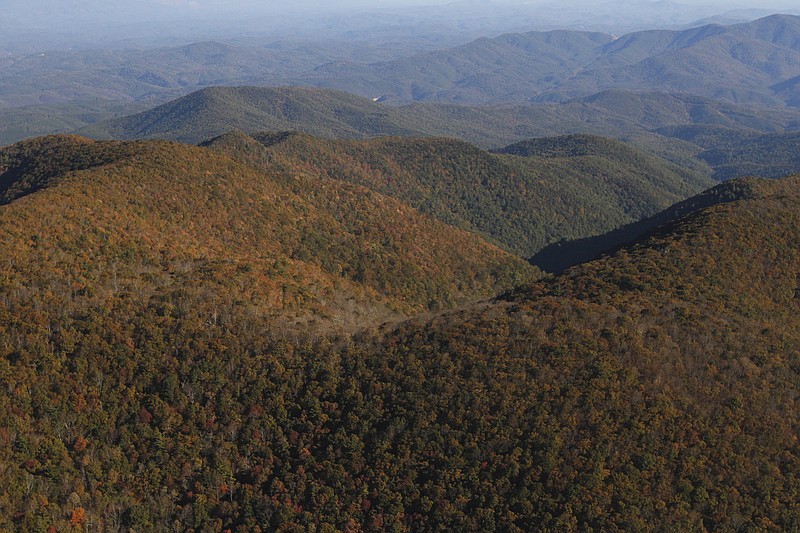 The wilderness area of Big Frog Mountain could be enlarged under proposed legislation.