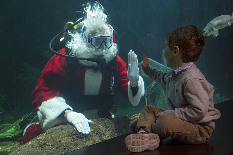 Scuba Claus high-fives a young visitor to the Tennessee Aquarium's River Giants exhibit through the glass.