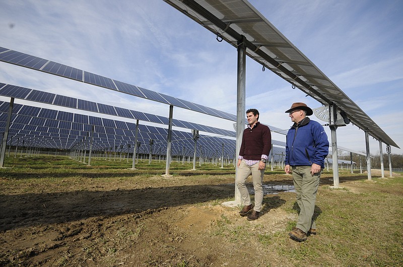 Rossville Solar Farm founder Harold Barny Danks, right, walks with his son, Trey, beneath one row of panels at the six acre property in Rossville. 