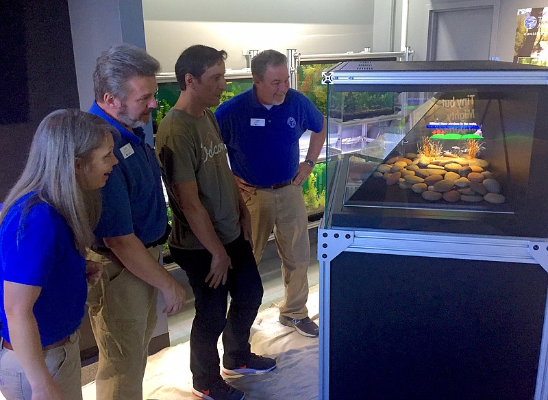 Aquarium employees Sheri Schannuth, John Kelley, and Jeff Worley get the first view of the new holographic display. Also pictured Jim Bowhall, Vice President and Creative Director of Magick Lantern.
