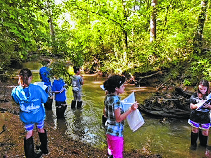 Red Bank Elementary students visit Mountain Creek, which abuts the school's property, for real-life lessons about the environment and how they can impact it. (Contributed photos)