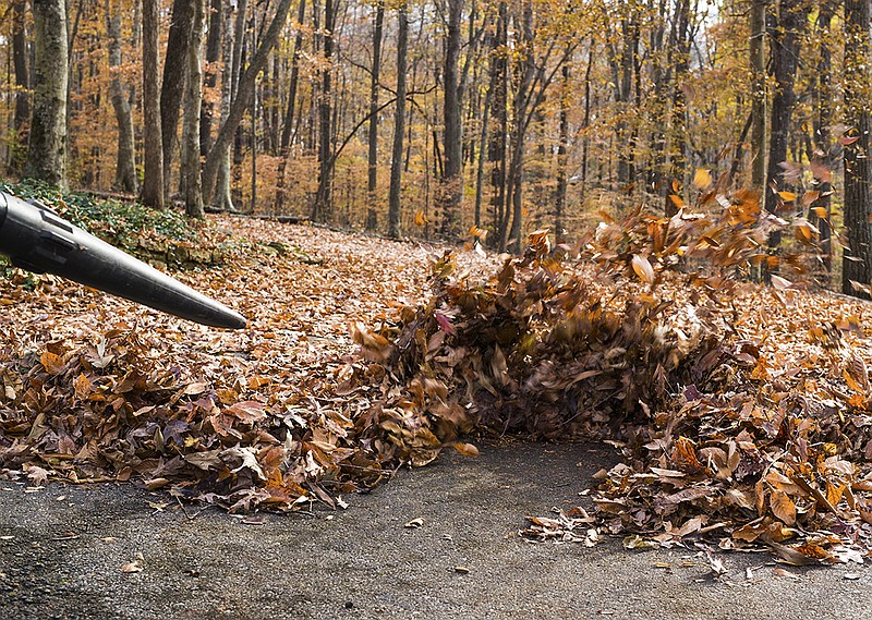 Removing the blanket of leaves from the roadway.