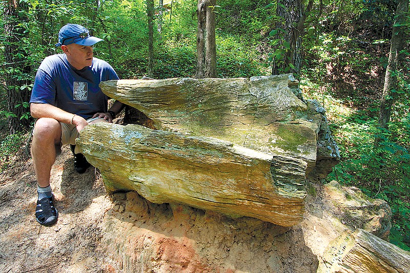 Mississippi Petrified Forest