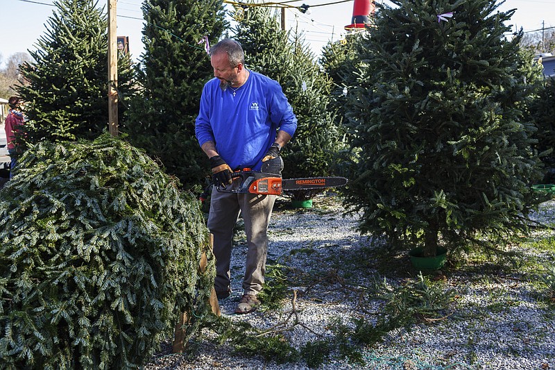 Bryan Noblett trims the base of a Christmas tree for a customer at Weaver Tree Farms on Signal Mountain Road on Friday, Nov. 24, 2017, in Chattanooga, Tenn. This is the 31st year that Weaver has set up to sell their trees in the location.