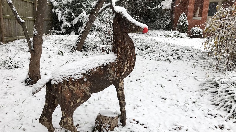 Reindeer covered with snow in Dalton, Georgia.