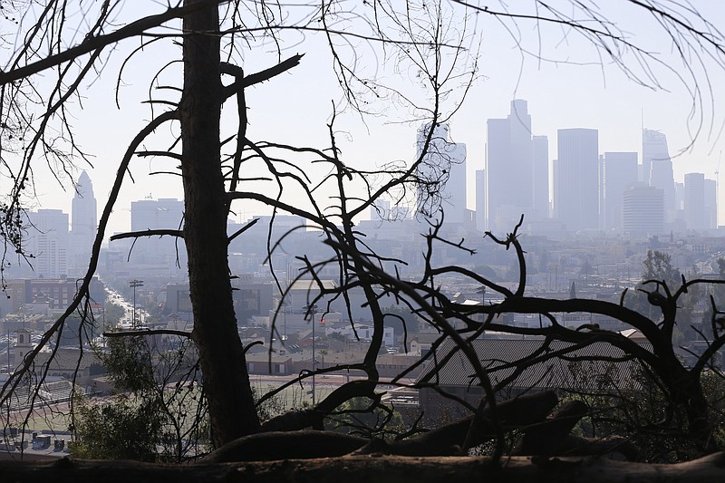 Los Angeles skyline is seen through burned trees after a brush fire erupted in the hills in Elysian Park in Los Angeles Thursday, Dec. 14, 2017. 