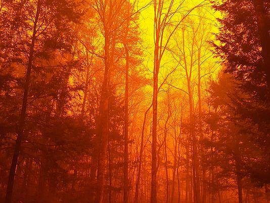 The wildfire inside the Great Smoky Mountains National Park on Nov. 28, 2016. (Photo: Jason Willette/National Park Service)