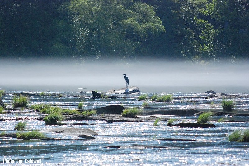 Hiwassee Wildlife Refuge: Where the Hiwassee and Tennessee rivers meet, wildlife-watchers on foot or in boats can observe thousands of migrating sandhill cranes in the winter and hundreds of other nesting species throughout the year.