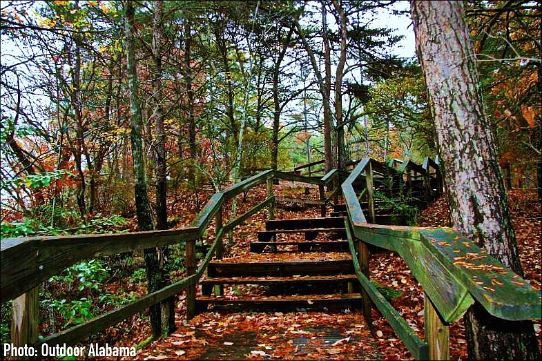 Buck's Pocket State Park: Once the home of Cherokee before the Trail of Tears, Buck's Pocket is a secluded, narrow canyon known for spectacular vistas and spring wildflower displays.