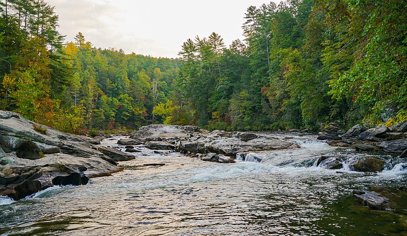 "The Wild President" tells the story of President Jimmy Carter's canoe experience on the Chattooga River, shown.