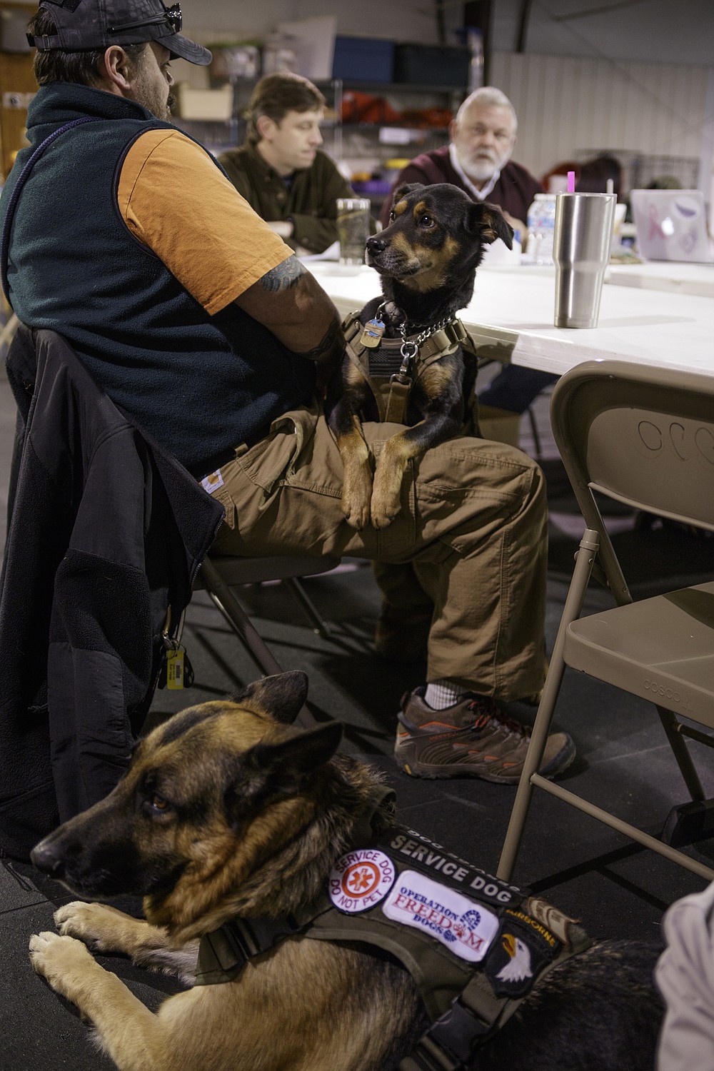 Operation Freedom Dogs Nonprofit enlists rescue dogs to rescue