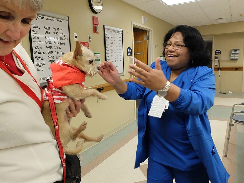 Pam Mandody, RN is all smiles when she encounters Peter, a pet therapy dog, on the ninth floor at Erlanger Health System in downtown Chattanooga. Pet owner Brenda Bowker, left, holds the 12-year-old Yorkie/Chihuahua mix.