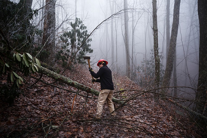 Clayton Morgan with the U.S. Forestry Service removes limbs from a downed tree on the Fodder Stack Trail of the Citico Creek Wilderness in the Cherokee National Forest on Thursday, Feb. 8, 2018, in Monroe County, Tenn. SAWS works exclusively with manual tools to maintain wilderness trails where gasoline-powered equipment is not allowed.