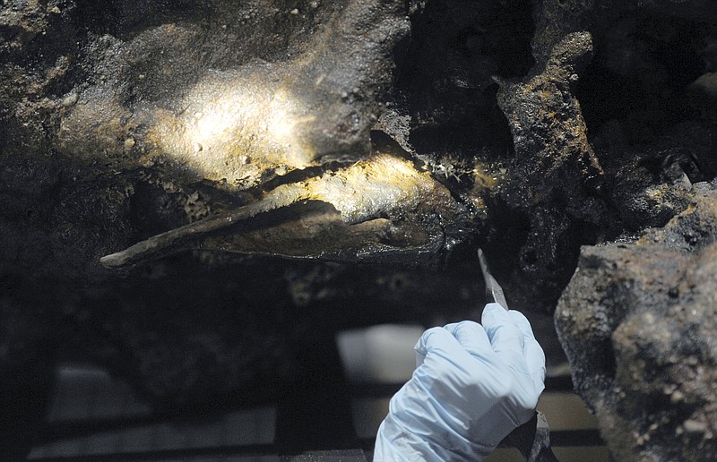 
              In this Aug. 14, 2017 photo, Marie Kesten Zahn, an archaeologist and education coordinator at the Whydah Pirate Museum in West Yarmouth, Mass., probes the concretion surrounding a leg bone that was salvaged from the Whydah shipwreck off the coast of Wellfleet on Cape Cod. Researchers are working to determine if the remains belong to Samuel "Black Sam" Bellamy, the captain of the ship. (Merrily Cassidy/Cape Cod Times via AP)
            
