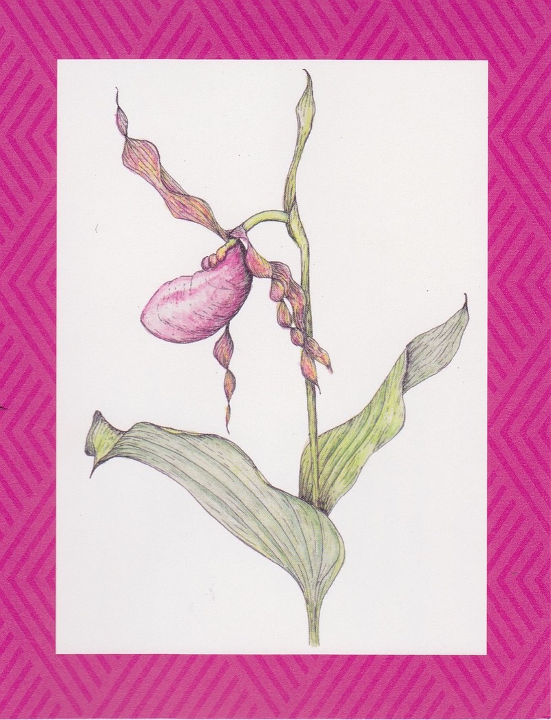 "All Things Bright and Beautiful" encompasses a variety of interpretations of botanical art in a range of media.