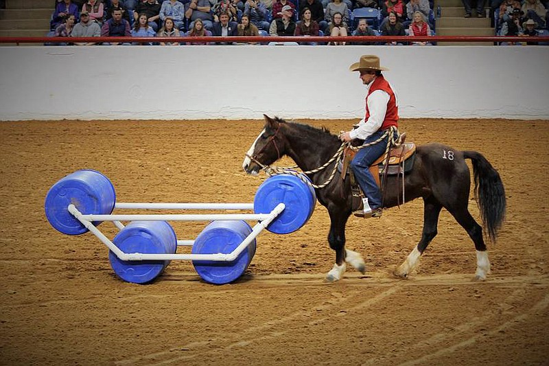 Cavin Graham, a horse trainer from Rocky Face, Ga., rides his horse Terrapin to victory in the Mustang Magic competition in Fort Worth, Texas, last month. 