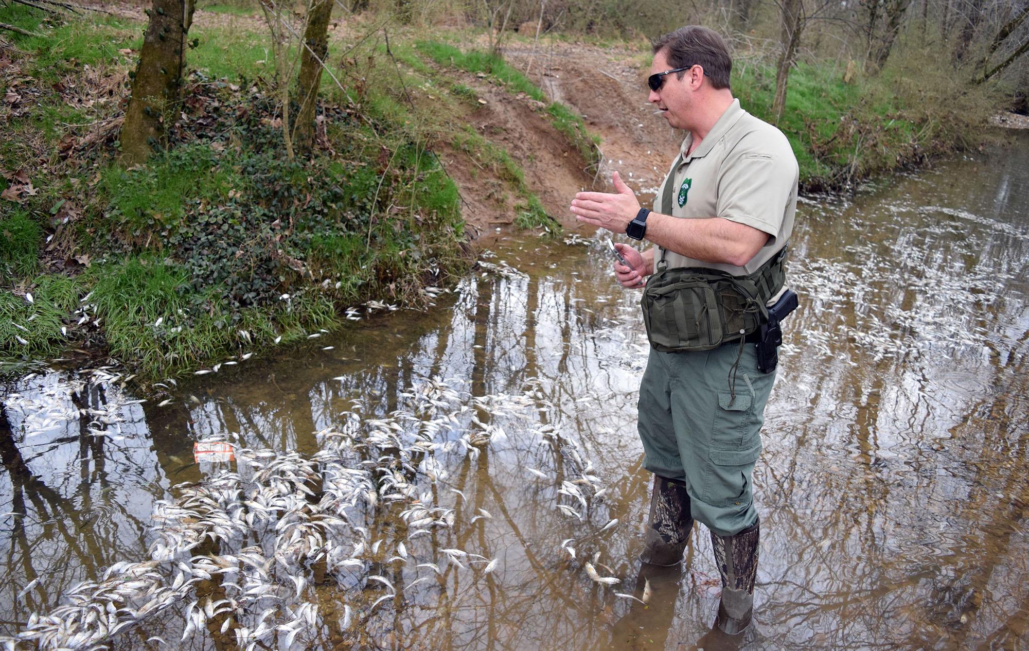 Chattanooga Times Free Press/ Mark Pace - TWRA biologist Bobby Brown investigates after tens of thousands of fish died in a small, unnamed tributary running parallel to Dupont Parkway in Hixson. The small stream feeds into the Tennessee River across from the Tennessee Riverpark.
