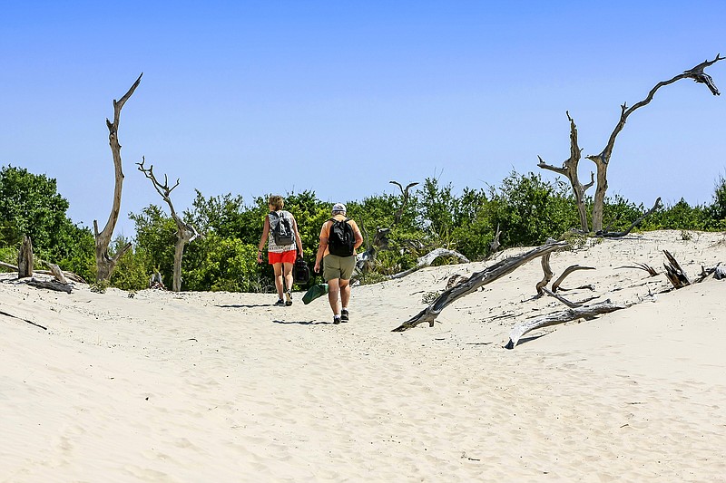 Visitors hike through the untamed beaches on Cumberland Island. 