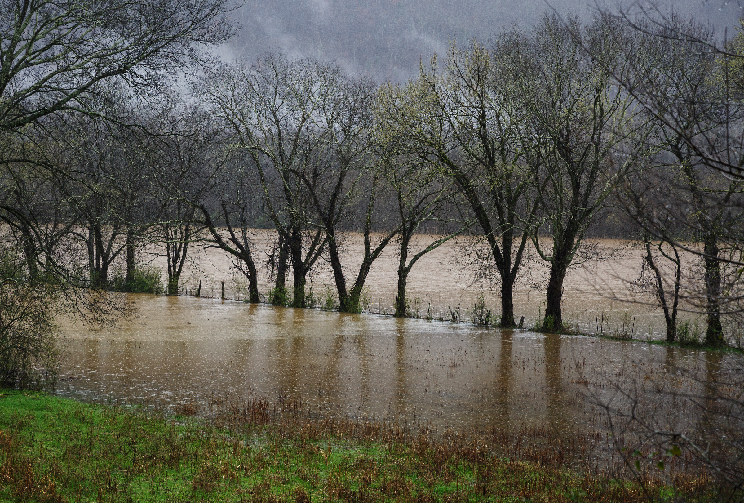 Floodwaters rise in a field by Creek Road after heavy rainfall caused flooding throughout the region Thursday, March 1, 2018, in Wildwood, Ga.