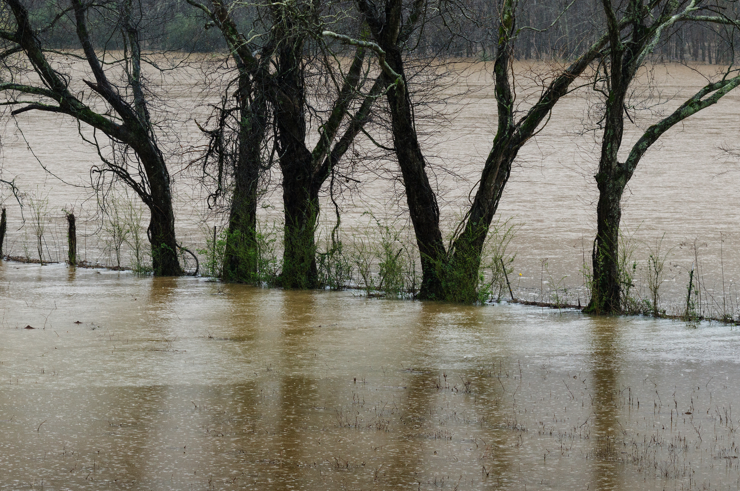 Floodwaters rise in a field by Creek Road after heavy rainfall caused flooding throughout the region Thursday, March 1, 2018, in Wildwood, Ga.