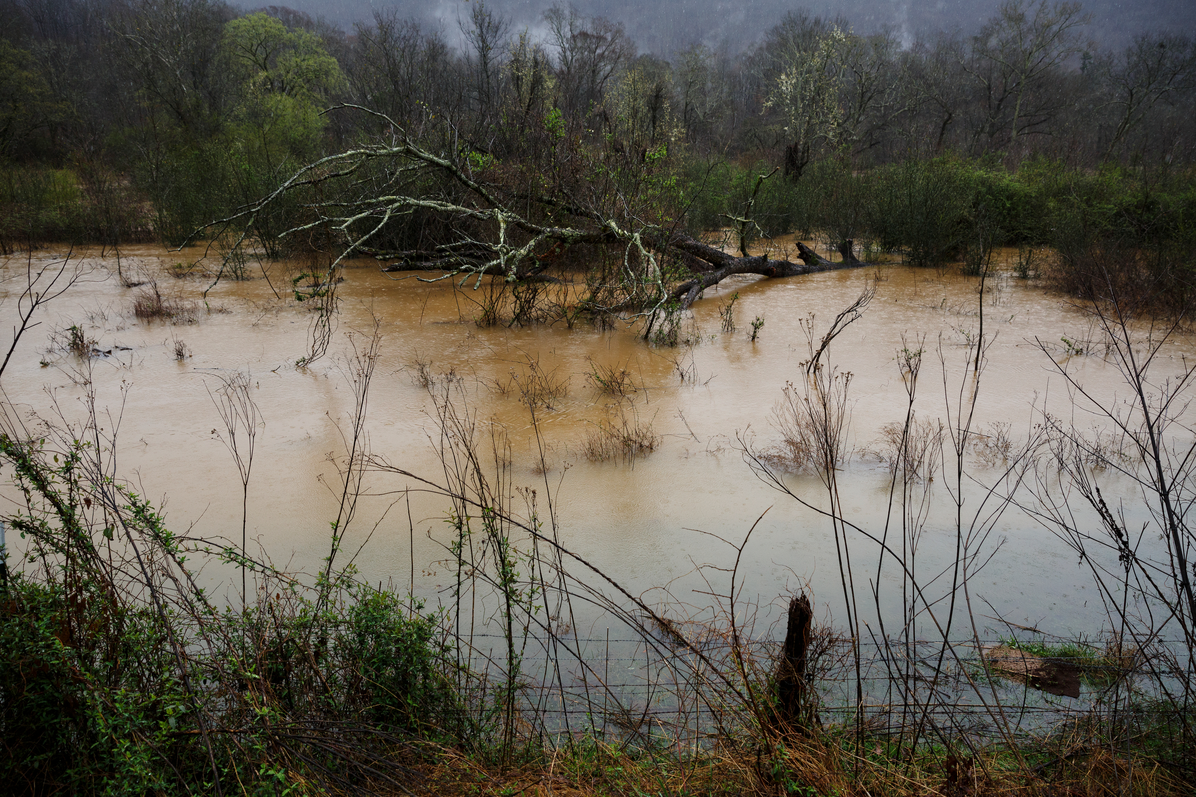 Floodwaters rise in a field by Creek Road after heavy rainfall caused flooding throughout the region Thursday, March 1, 2018, in Wildwood, Ga.