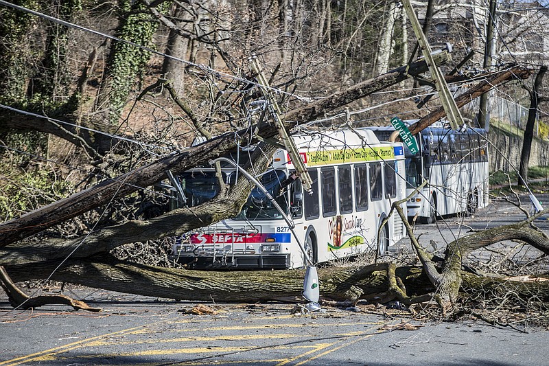 A bus is covered by a tree that collapsed onto power lines due to a storm last Friday in Bryan Mawr, Pa., Sunday, March 4, 2018. The road is closed until crews can clean the mess. (Michael Bryant/The Philadelphia Inquirer via AP)