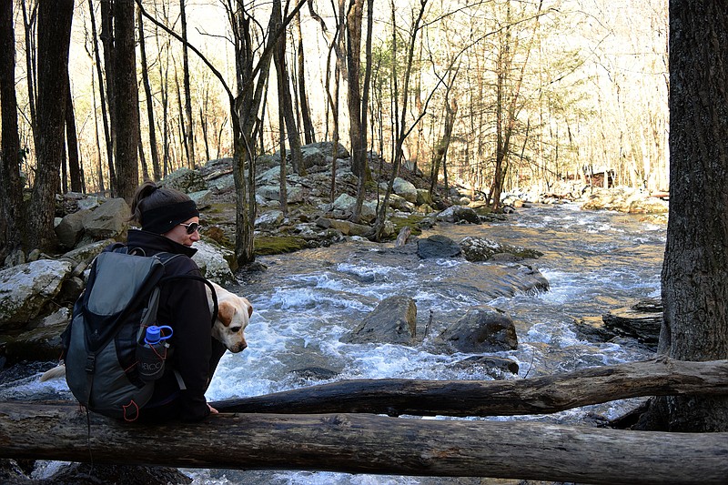 Mark Pace/ Chattanooga Times Free Press — Prof. Alana Retseck-Coulter tries to cross a creek with her dog Rocky March 3 at Laurel Snow State Natural Area in Dayton, Tenn. The relaunched backpacking and hiking class is part of a revamped outdoors program.