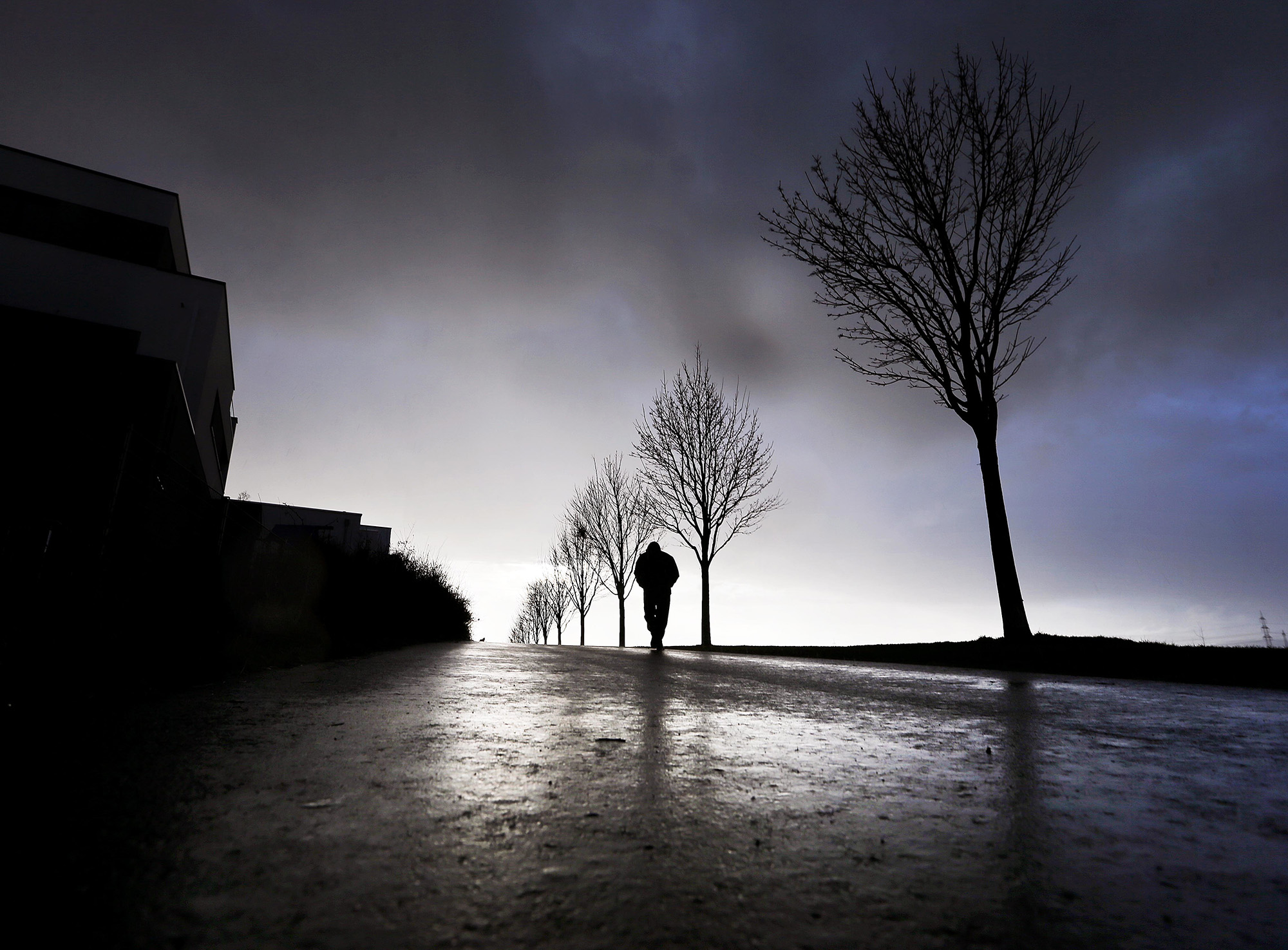 A man walks along trees in the outskirts of Frankfurt, Germany, on a rainy Monday, March 12, 2018. (AP Photo/Michael Probst)