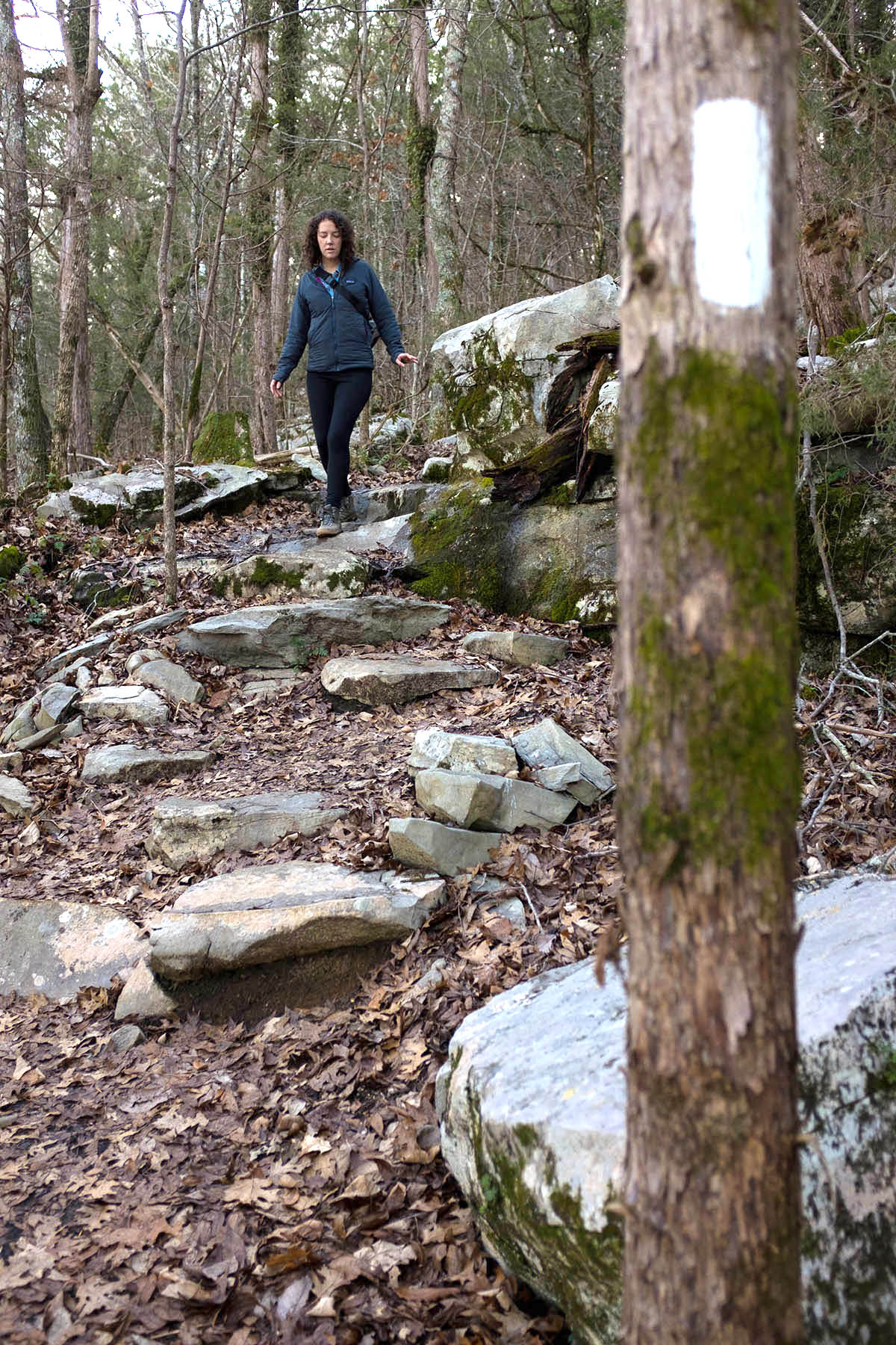 The trail is marked by white blazes.