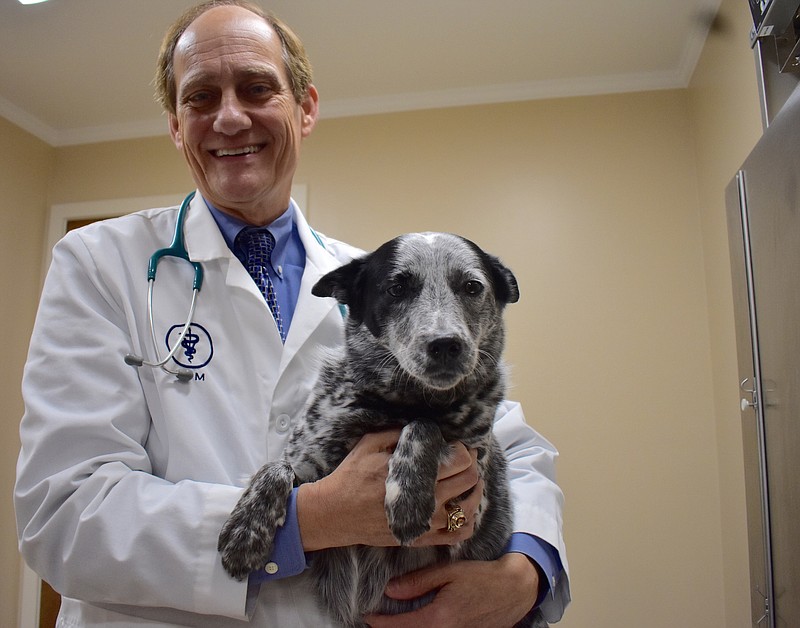 Local veterinarian Dr. Randy Hammon wins lifetime achievement award |  Chattanooga Times Free Press