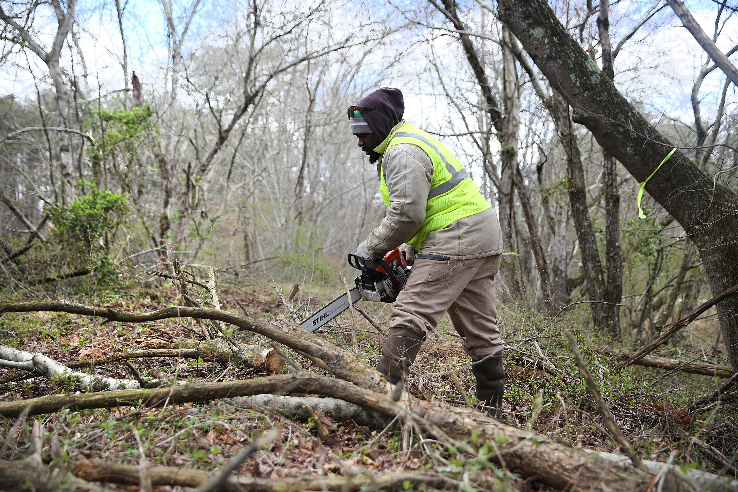 Kenneth Brooks, a chainsaw operator with TREED and Associates, cuts up a tree along the Mountain Goat Trail Wednesday, March 21, 2018 in Tracy City, Tenn. A multi-use walking and cycling trail connecting the communities along the path of the historic Mountain Goat Railroad has two ongoing construction projects as the area continues to develop the trail system.
