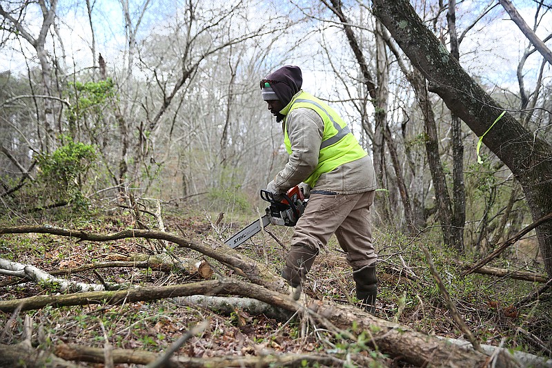 Kenneth Brooks, a chainsaw operator with TREED and Associates, cuts up a tree along the Mountain Goat Trail Wednesday, March 21, 2018 in Tracy City, Tenn. A multi-use walking and cycling trail connecting the communities along the path of the historic Mountain Goat Railroad has two ongoing construction projects as the area continues to develop the trail system.