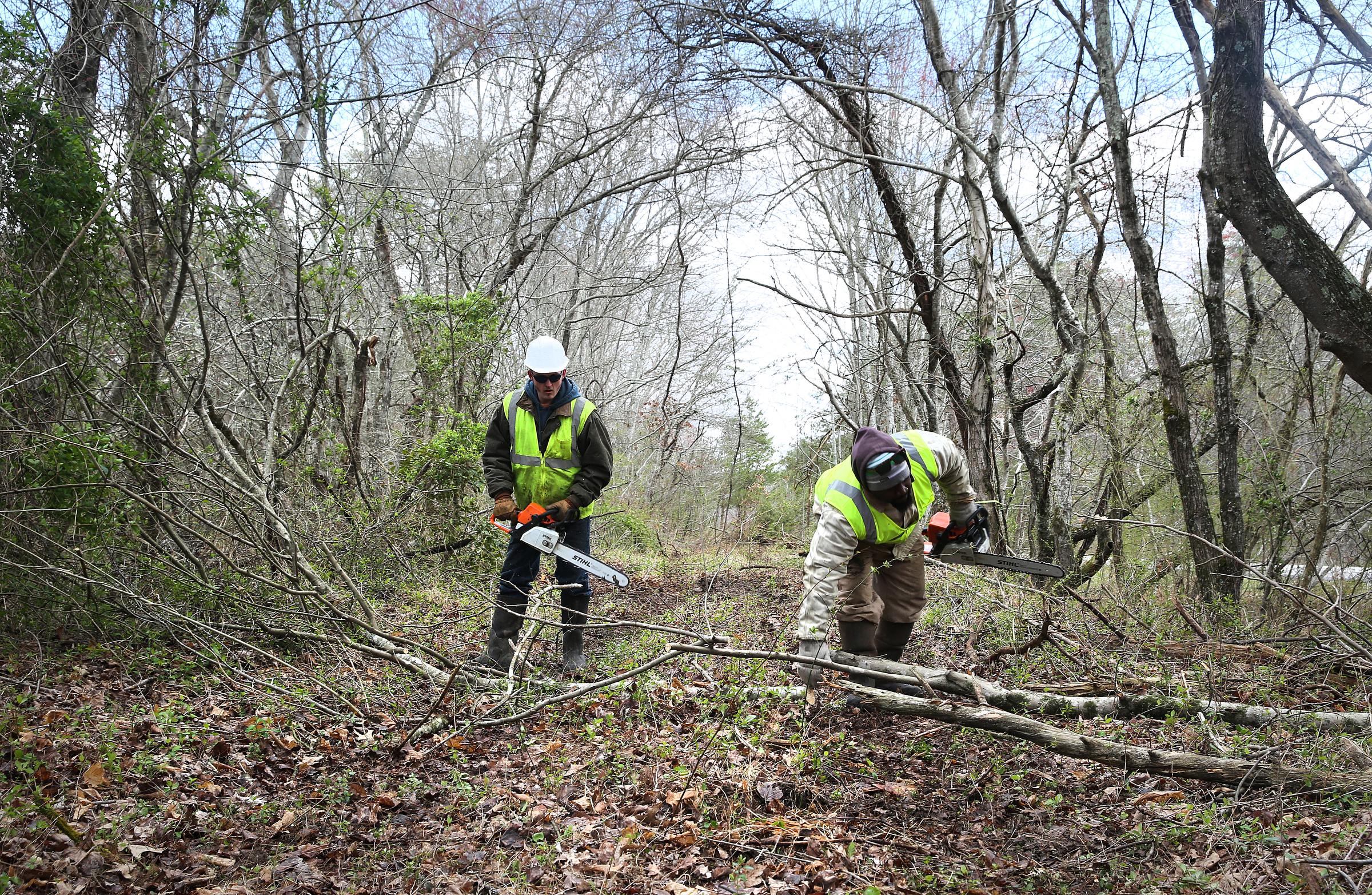 Daniel Johnson and Kenneth Brooks, chainsaw operators with TREED and Associates, cut up a tree along the Mountain Goat Trail Wednesday, March 21, 2018 in Tracy City, Tenn. A multi-use walking and cycling trail connecting the communities along the path of the historic Mountain Goat Railroad has two ongoing construction projects as the area continues to develop the trail system.
