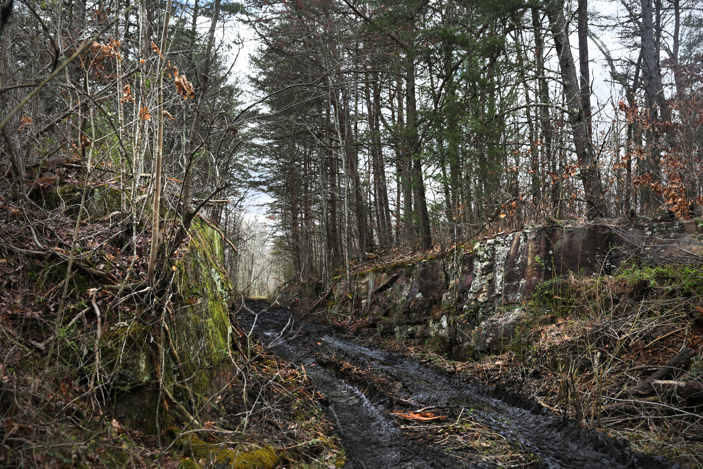 What will be part of the Mountain Goat Trail runs between rock formations that were split with explosives when the railroad system ran through the area Wednesday, March 21, 2018 in Tracy City, Tenn. The multi-use walking and cycling trail will eventually link seven towns in Grundy and Franklin counties.